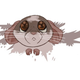 Illustration for article titled One womans efforts to cheer up rats who are genetically engineered to be depressed